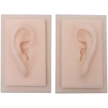 Модел на ухото от сверхмягкого силикон (двойка), модел на човешкото ухо естествен размер