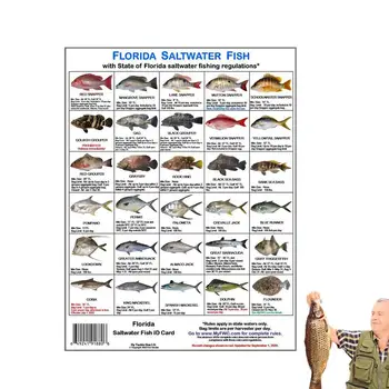 Картичка с морски рибки Флорида, Магнитни цветни снимки на видове риби, обитаващи водите на Флорида, Идентифицират Карта с правилата за поведение във водите на Флорида за