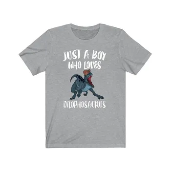 Просто момче, което обича риза с динозавром дилофозавром, динозавър