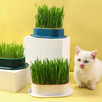 Лесна за грижи сеялка за котешка трева за здравословен и гигиеничного домашен любимец е Изработена от ABS пластмаса Сеялка за котешка трева за домашни любимци